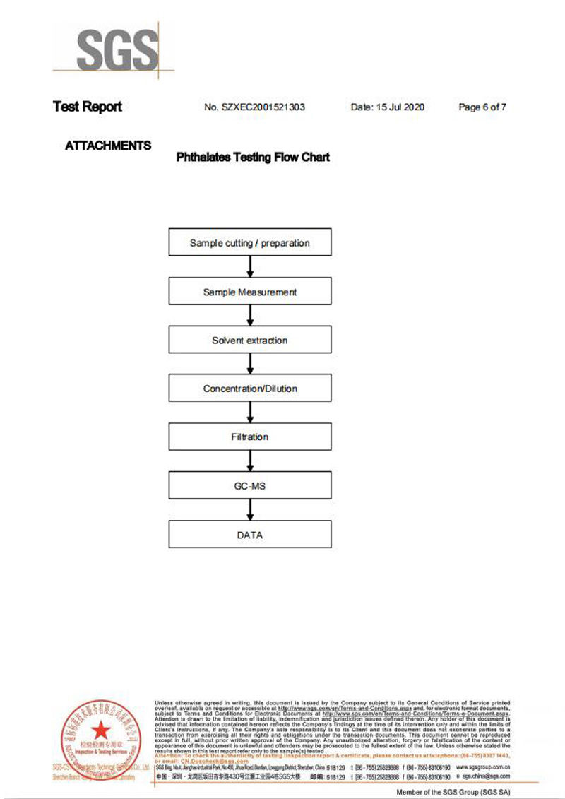 一次性保險絲SGS認證報告6
